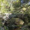 Dans les gorges du Riou