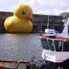 animation ponctuelle sur la base marine