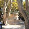 La place des Lices
