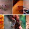 Piercings