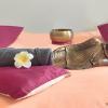 Shiatsu SantOline Massage