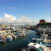 LE petit port de Sausset les Pins