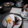 Petit goûter : "Succès" et boissons