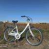 VTC de location pour parcourir la Camargue 