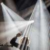 Cats On Trees - Festival Acoustic 2014