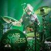 Cats On Trees - Festival Acoustic 2014