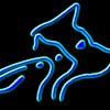 Nous y soignons les Chiens Chats Lapins Rongeurs...