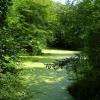 Le parc forestier de la poudrerie