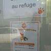 Bienvenue au refuge