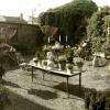 le jardin