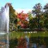 Parc de l orangerie
