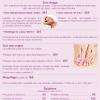 Carte des prestations