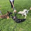 cours collectif