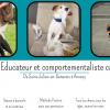 SYLV EDUC Sylvain Vidal Educateur et comportementaliste canin entre Saint-Julien-en-Genevois et Annecy 