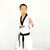Taekwondo