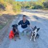 Taonimo - Educateur et comportementaliste canin à Toulon et ses alentours