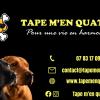 Tape m’en quatre Educateur et Comportementaliste Canin en Seine-et-Marne et en Essonne
