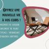 Restauration et réparation de mobilier en cuir