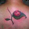 Tatouage coccinelle