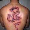 Tatouage dragon