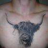 tatouage animal
