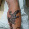 Réalisation d'un Lézard par Serge Tattoo Evolution Perpignan . Tatoueur depuis 1984