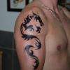 Tatouage Dragon tribal par Serge Tattoo Evolution Perpignan . Tatoueur depuis 1984
