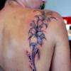 Lys freehand Tattoo