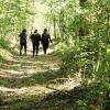 Tépaperdu :
Tout seul avec un GPS ou encadré par animateur, vous vous baladerez dans le bois du défend.