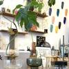 Vases d'aquaculture chez The Shop Conceptstore