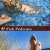 Fish Pédicure et réflexologie plantaire automatisée pour 40€ en impimant cette offre