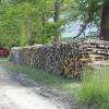 bois de chauffage, commerce de bois, débroussaillage forestier, livraison bois de chauffage à domicile Bayonne, Latour Thierry.