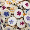 Chocolats aux fleurs du jardin