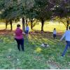TRAIN YOUR DOG
Educateur et comportementaliste canin
