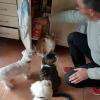 souvenirs de nos animaux tendrement aimés en vidéo Transfert dvd