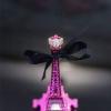Photographe mariage paris