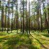 Vente terrains