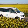 Van dans champs de Colza en Normandie