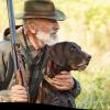 Repeublement de territoire de chasse dans la région Centre- Val de Loire, Sologne, Vanneau Delépine