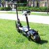 Trottinette 1000w - 36v  /  469€