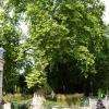 Dans le parc Ronsard.