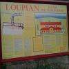 Vestiges Loupian 2