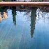 Piscine tout en bois