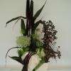 jardin interieur