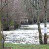 La Sauldre en hautes eaux.