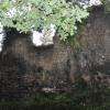 Chateau fort "petit Marzac"