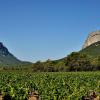 Vincent Coudé agent immobilier Pic saint loup