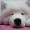 brossage et bain = zen 