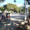 La place aux concours de boules...