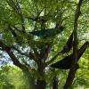 Bivouac pour une nuit perchée dans les arbres
